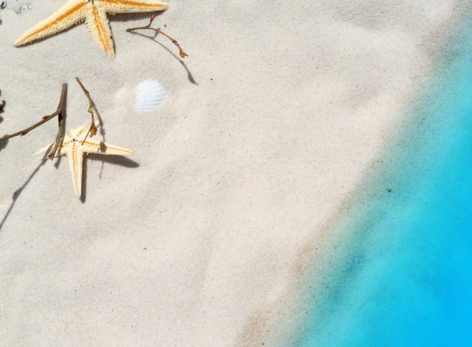 Wallpaper beach, starfish, shell, sand, 8k, Travel 2383119139